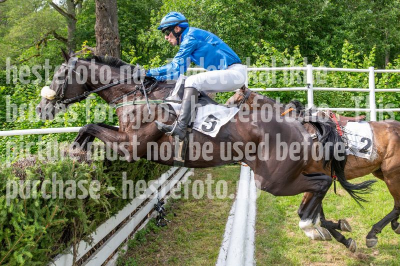 20240615-160317-stromsholm-20240615-lop-538