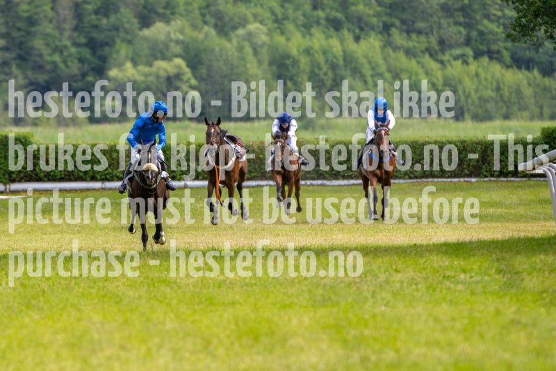20240615-160421-stromsholm-20240615-lop-545