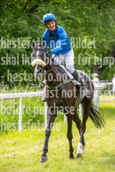 20240615-160635-stromsholm-20240615-lop-567
