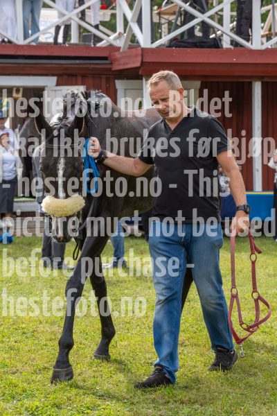 20240615-161402-stromsholm-20240615-lop-596