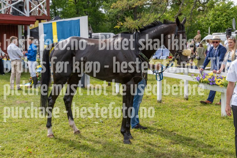 20240615-161354-stromsholm-20240615-lop-595