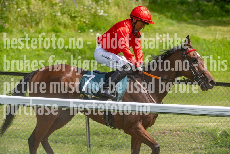 20240703-152123-DSC_0387