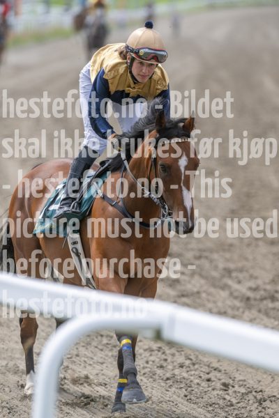 20240703-130818-DSC_6764