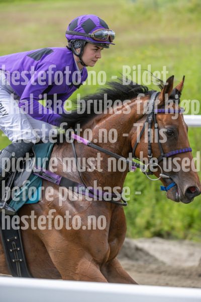 20240703-130856-DSC_7064