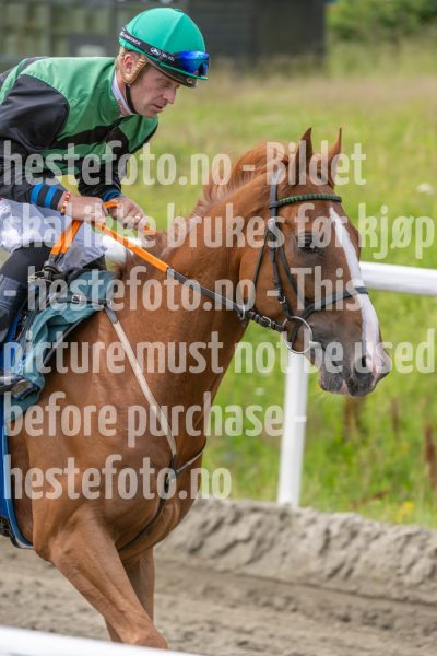 20240703-131003-DSC_7324