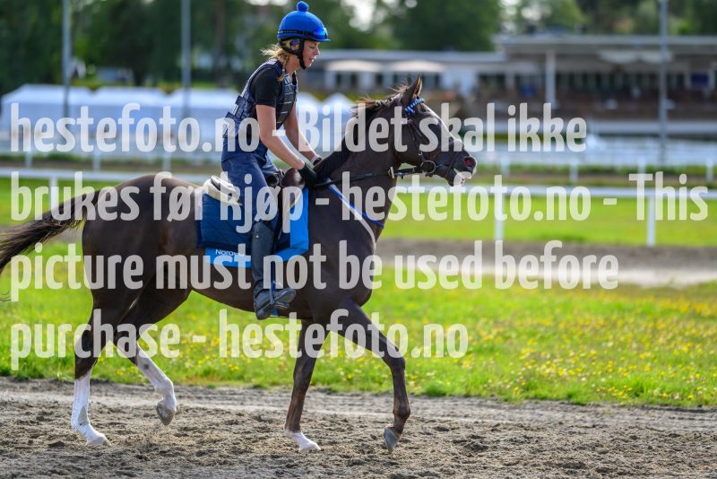 20210814-112519-DSC8681