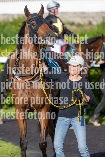 20240711-192230-DSC1888