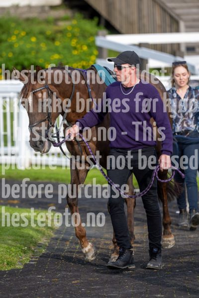 20240711-194844-DSC2137