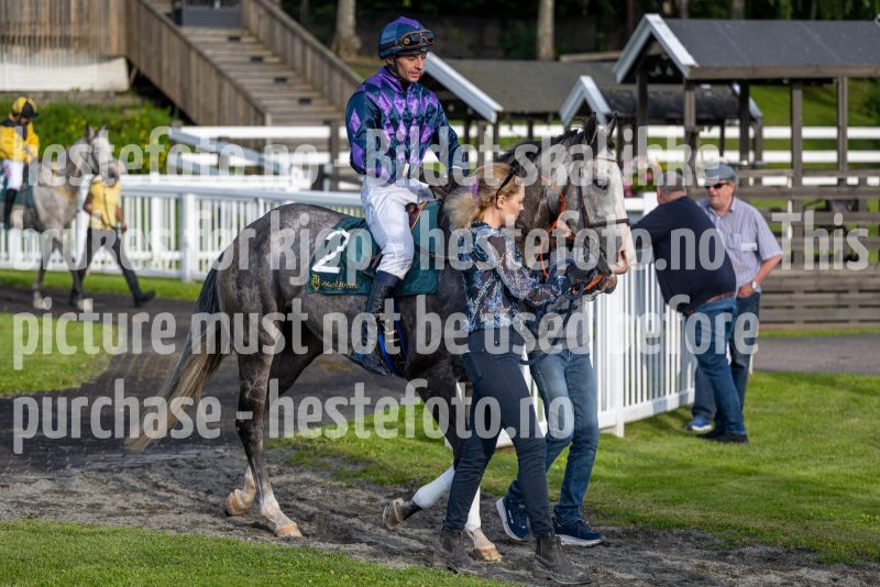 20240711-195016-DSC2197