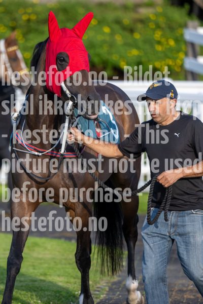 20240711-201056-DSC2358