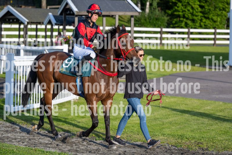 20240711-201456-DSC2513