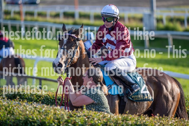 20240711-202441-DSC2604