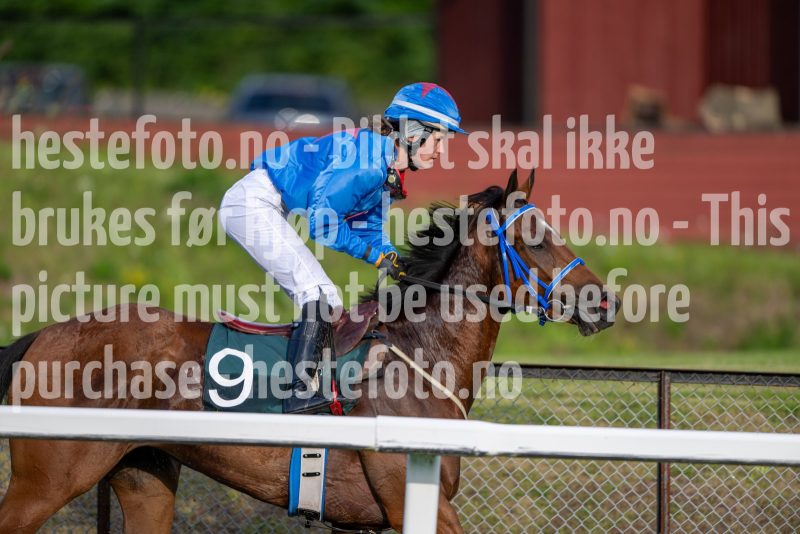 20240711-195924-DSC_0392