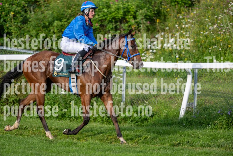 20240711-195918-DSC_0374