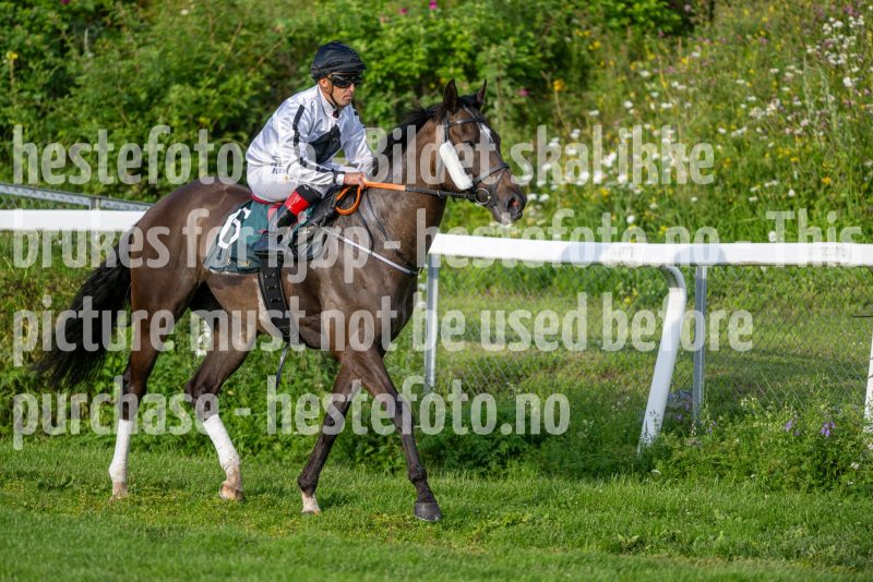 20240711-195923-DSC_0387
