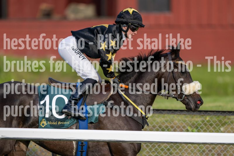 20240711-195948-DSC_0592