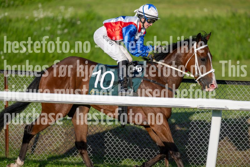 20240711-202410-DSC_1049