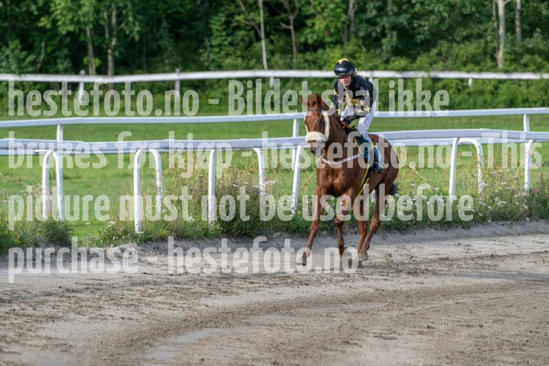 20240711-183602-DSC_7250