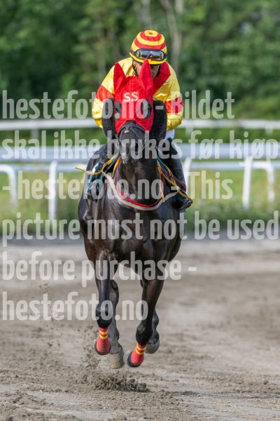 20240711-183617-DSC_7308
