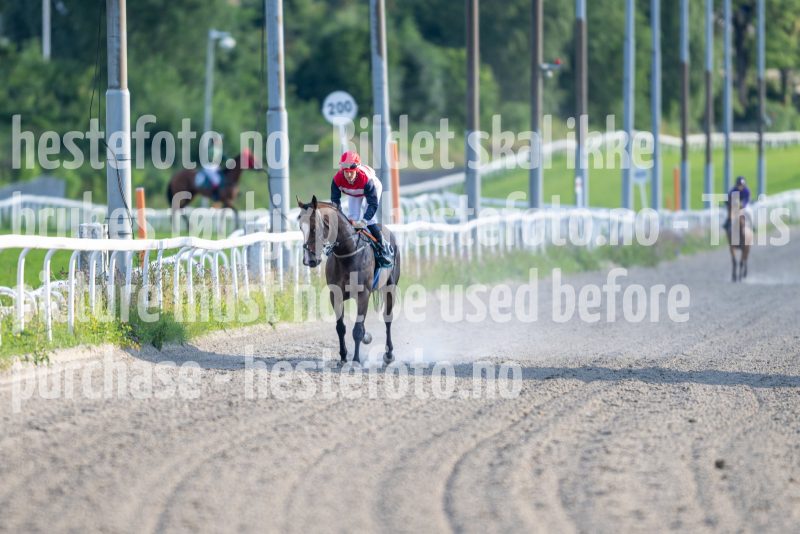 20240718-195313-DSC_0799