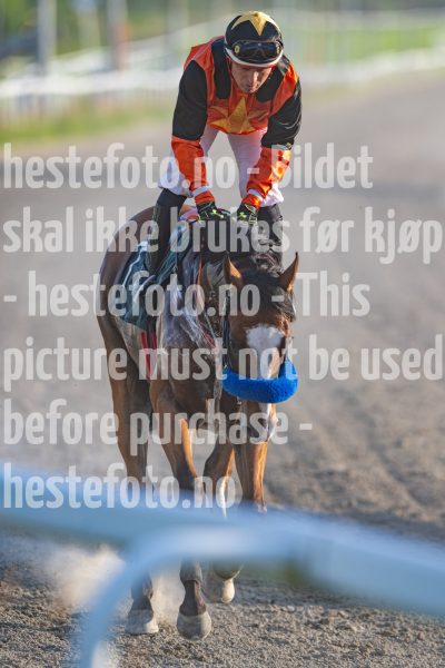 20240718-195416-DSC_1139