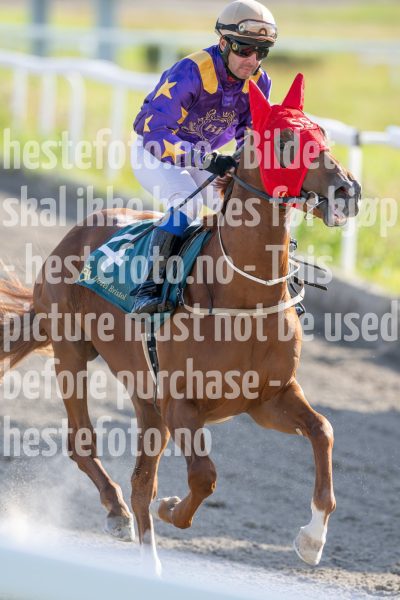20240718-181252-DSC_7944
