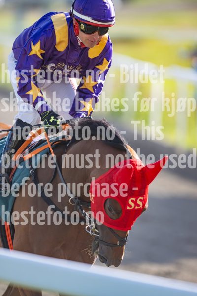 20240718-181322-DSC_8081