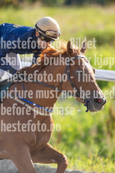 20240718-183633-DSC_8564