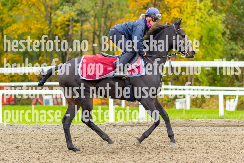 20211009-102755-DSC1026