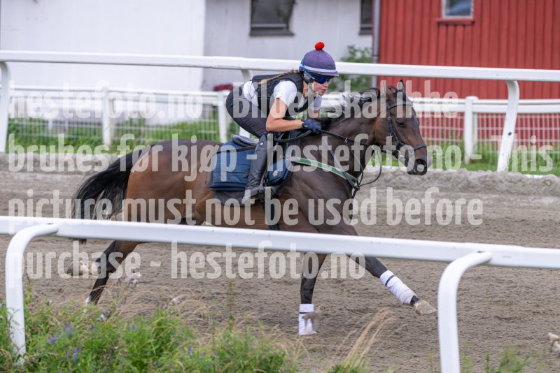 20240720-093026-DSC_4731