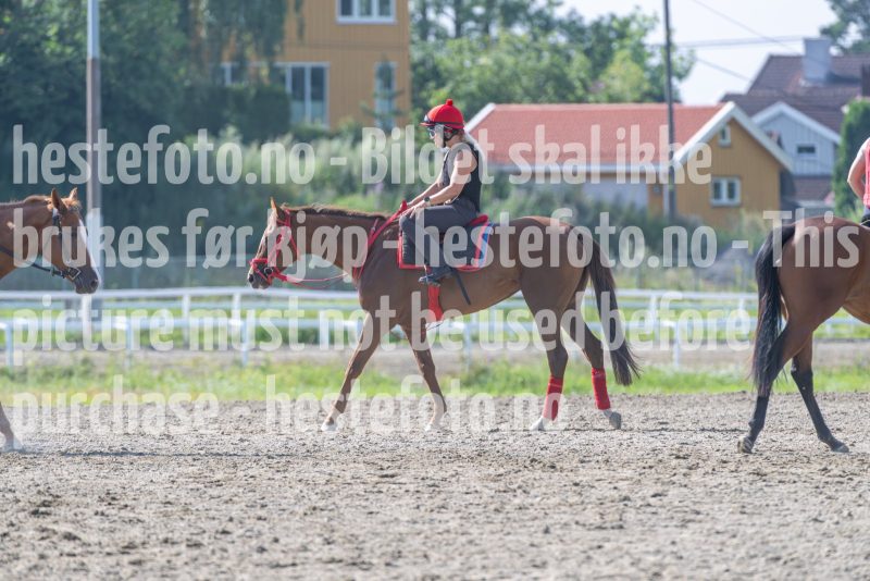 20240720-102924-DSC_7083
