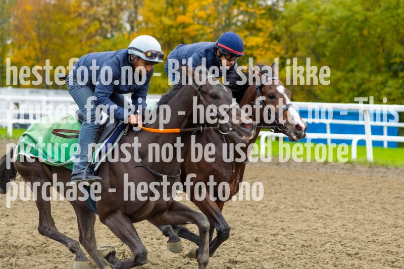 20211009-115007-DSC1116