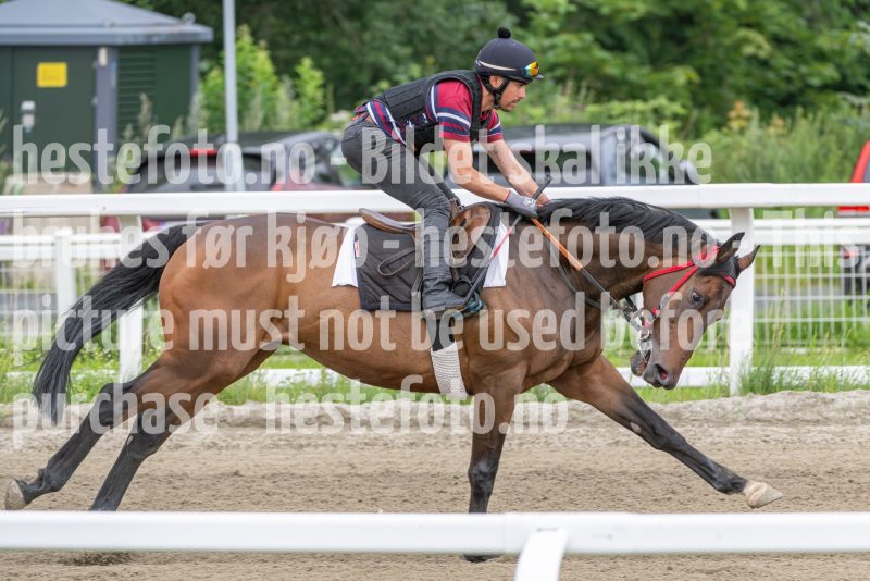 20240720-091940-DSC_4285