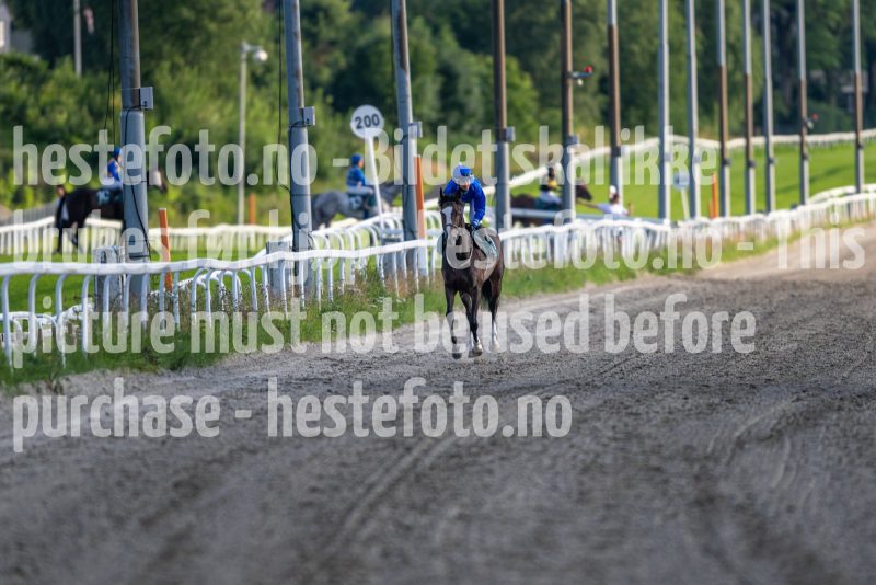 20240725-201436-DSC_3319