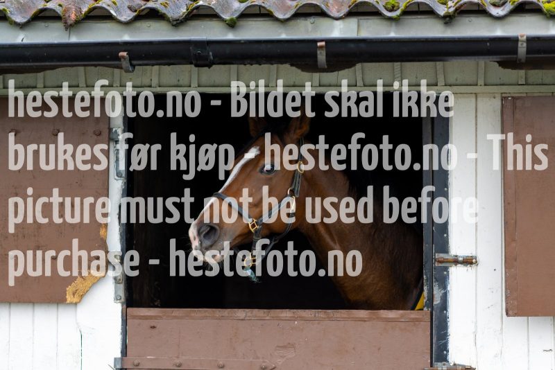 20211009-123343-DSC1198