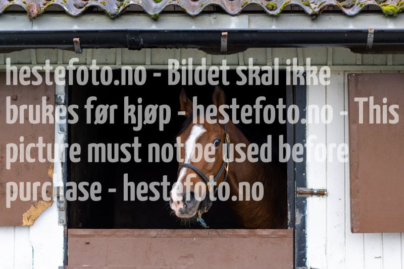 20211009-123510-DSC1203