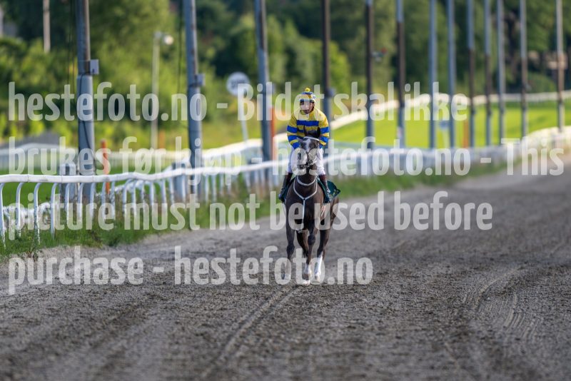 20240725-201629-DSC_4137