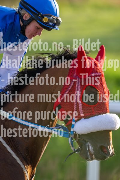 20240725-201610-DSC_4109