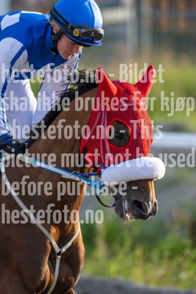 20240725-201610-DSC_4101
