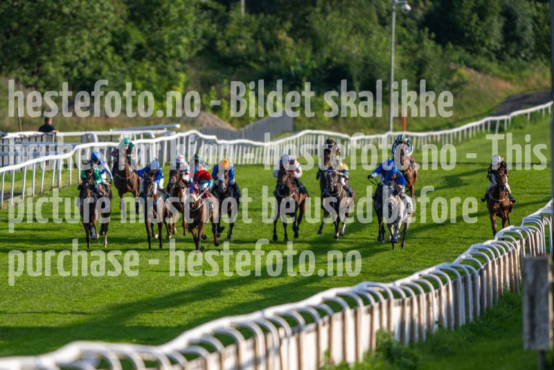 20240725-202343-DSC_4265