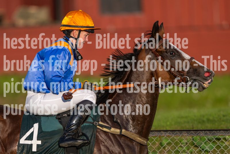 20240725-202459-DSC_4745