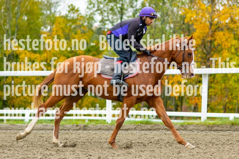 20211009-125250-DSC1443