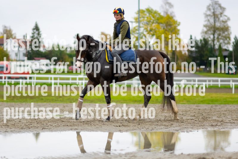 20211009-125856-DSC1483