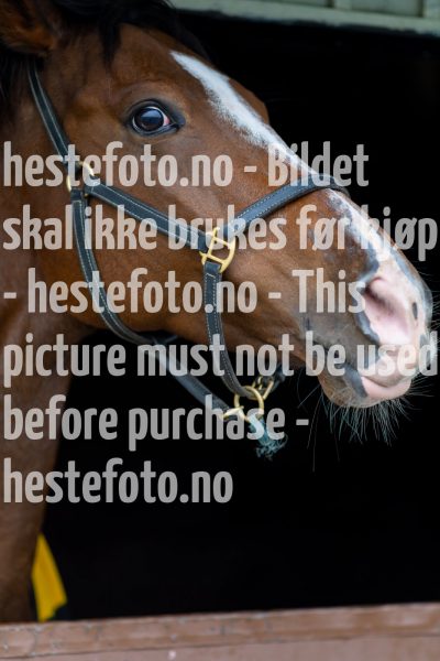 20211009-130442-DSC1519