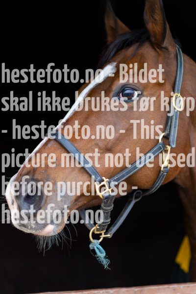 20211009-130543-DSC1540