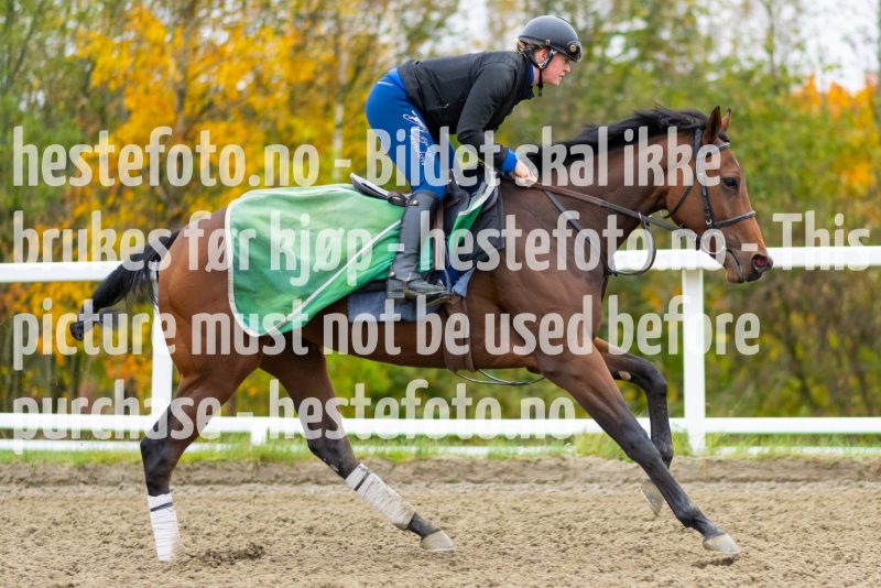 20211009-133145-DSC1737