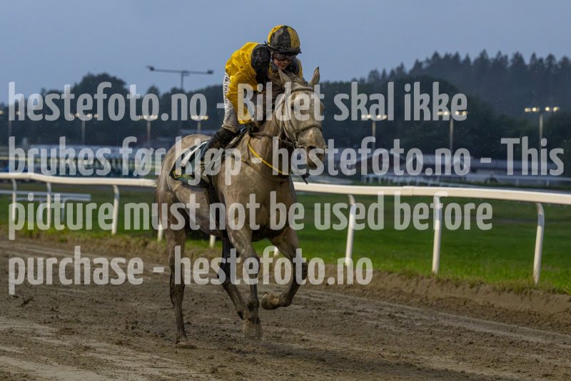 20240815-193855-DSC6608