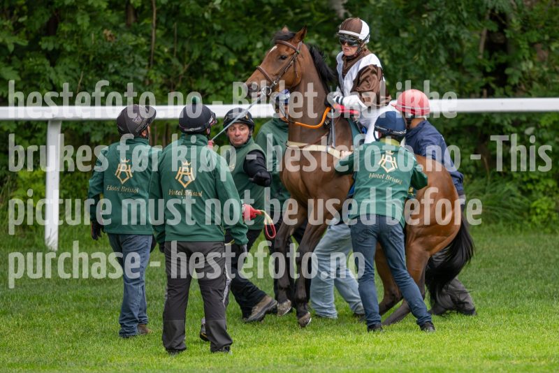 20240815-175256-DSC_3039
