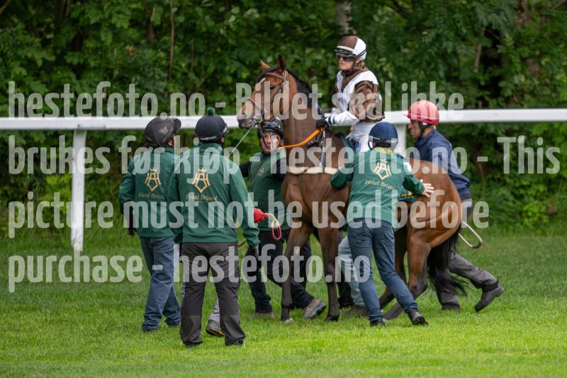 20240815-175256-DSC_3037