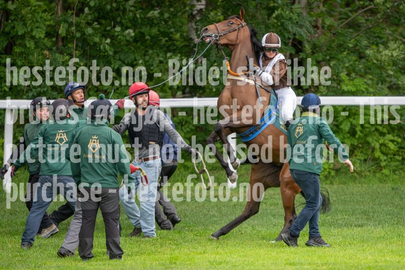 20240815-175257-DSC_3046